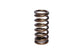 COMP Cams Valve Spring 0.970in Inner