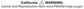 Air Lift 1000 Air Spring Kit 18-21 Chevrolet Equinox