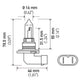 Hella 9005 12V 65W Xen White Bulb (Pair)