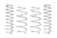 Eibach Pro-Truck Lift Kit for XA50 Toyota RAV4 PLK