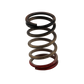 Turbosmart Gen-V WG40/45 HP 40 PSI Spring Upgrade - Black/Red